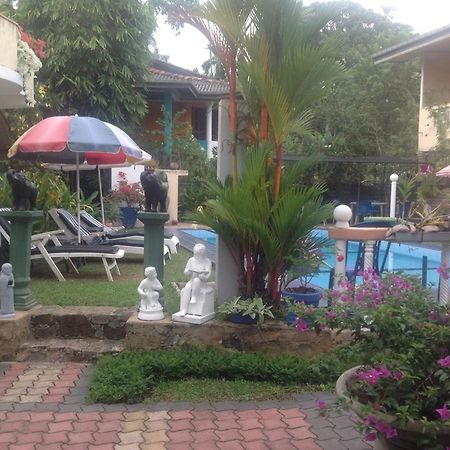 Hilda Guest House ฮิกคาดูวา ภายนอก รูปภาพ