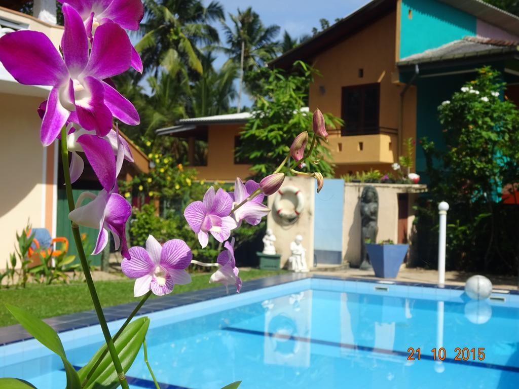 Hilda Guest House ฮิกคาดูวา ภายนอก รูปภาพ