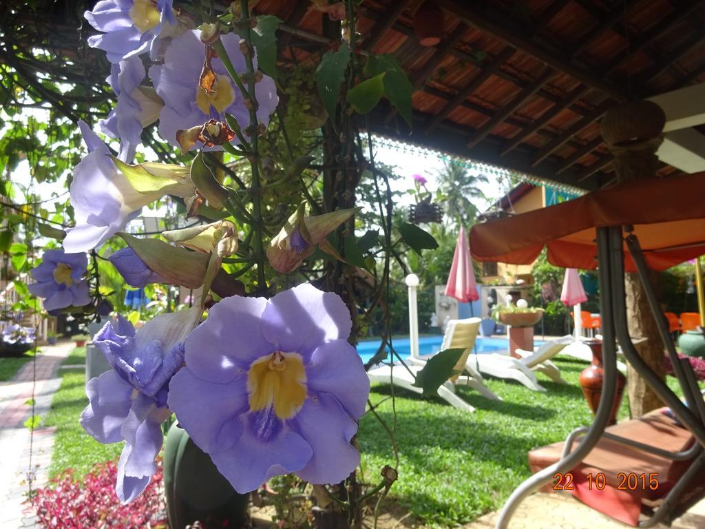 Hilda Guest House ฮิกคาดูวา ภายนอก รูปภาพ