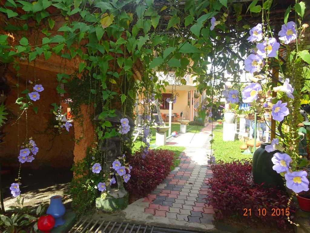 Hilda Guest House ฮิกคาดูวา ภายนอก รูปภาพ
