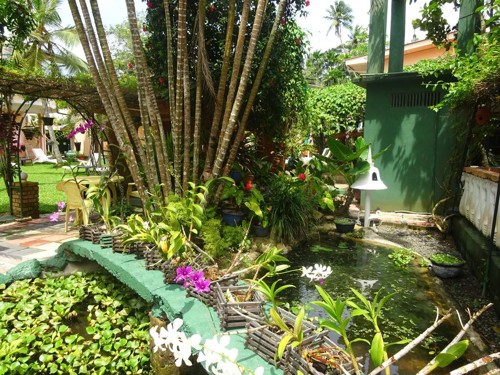 Hilda Guest House ฮิกคาดูวา ภายนอก รูปภาพ