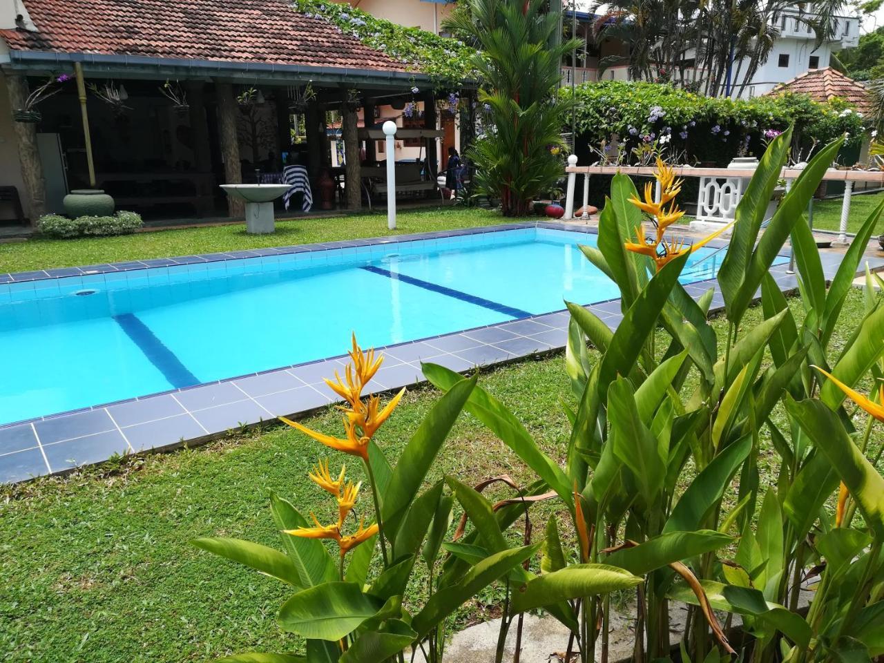 Hilda Guest House ฮิกคาดูวา ภายนอก รูปภาพ